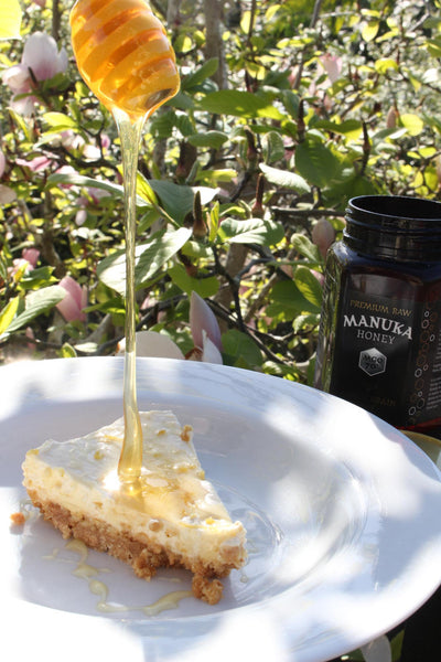 Honey Cheesecake